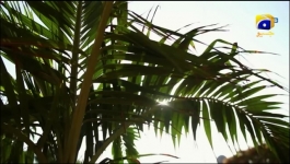 Pathar Dil - Episode 37 - 9th September 2025